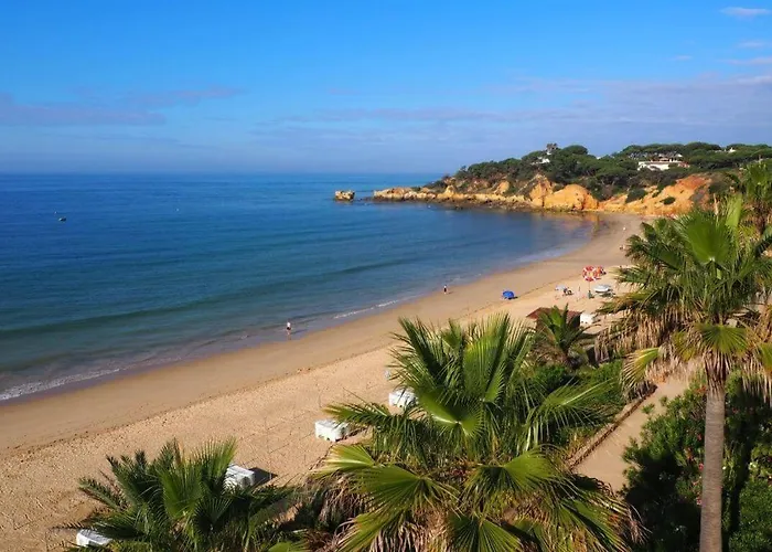 Cozy Oura Apartament